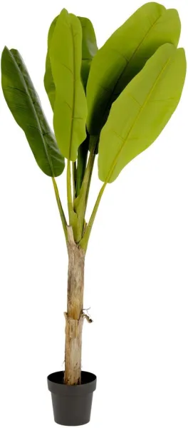 Banano, Τεχνητό φυτό, πράσινο/μαύρο, H160x90x90 cm