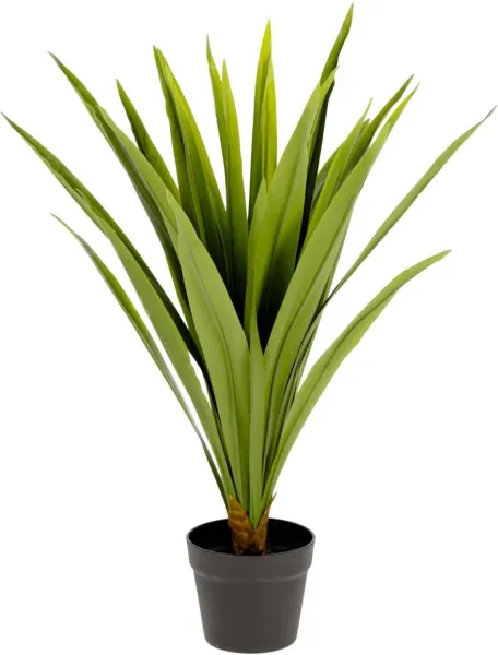 Yucca, Τεχνητό φυτό, πράσινο/μαύρο, H80x60x60 cm