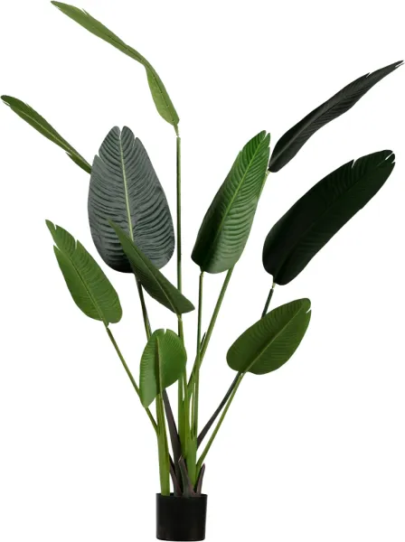 Strelitzia, Τεχνητό φυτό, πράσινο, H164x96x63 cm