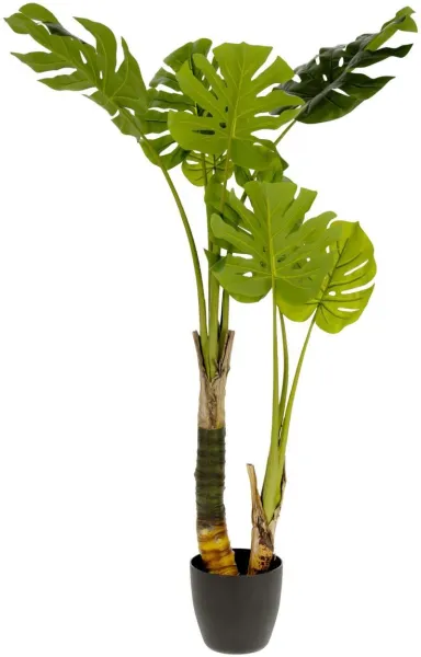 Monstera, Τεχνητό φυτό, πράσινο/μαύρο, H130x60x60 cm