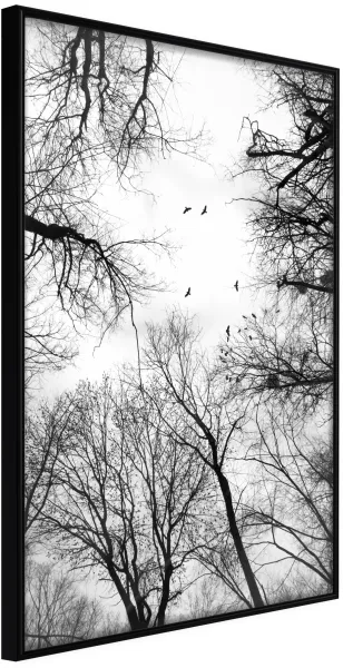 ARTGEIST Αφίσα με κορνίζα - Treetops Μαύρο 40x60