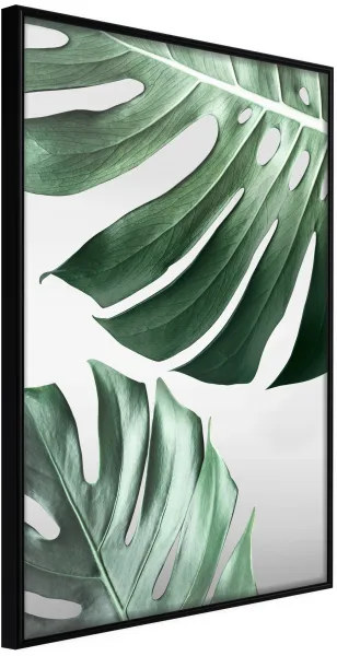 ARTGEIST Αφίσα με κορνίζα - Leaves Like Swiss Cheese Μαύρο 30x45